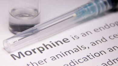 Photo of What Does a Morphine High Look Like?
