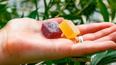 Photo of How to Find the Best Budget Cannabis Gummies for Pain