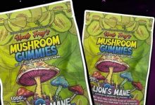 Photo of Why Hippy House Mushroom Gummies Are a Cut Above the Rest